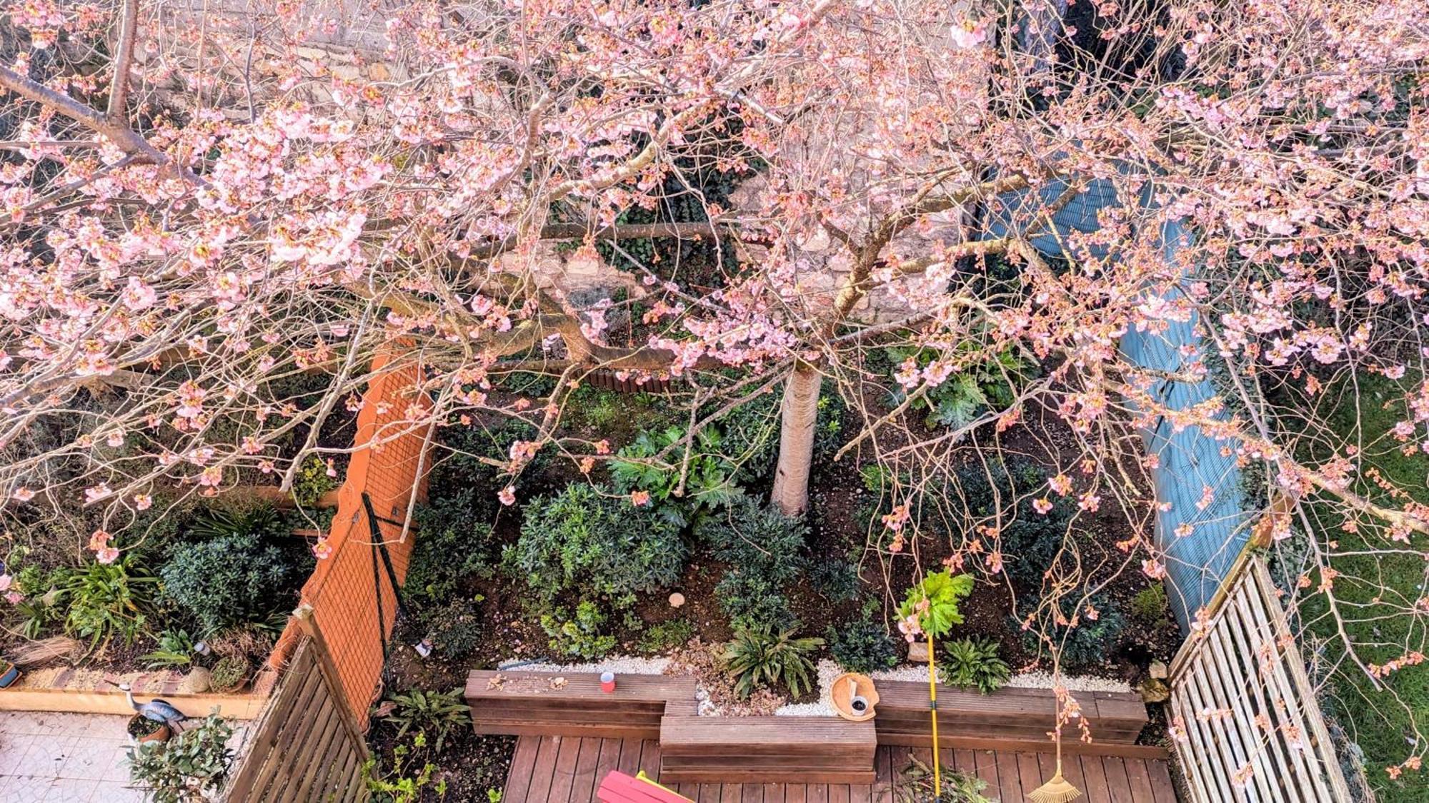 Maison Avec Jardin Au Sud De Paris Apartment Жантили Екстериор снимка
